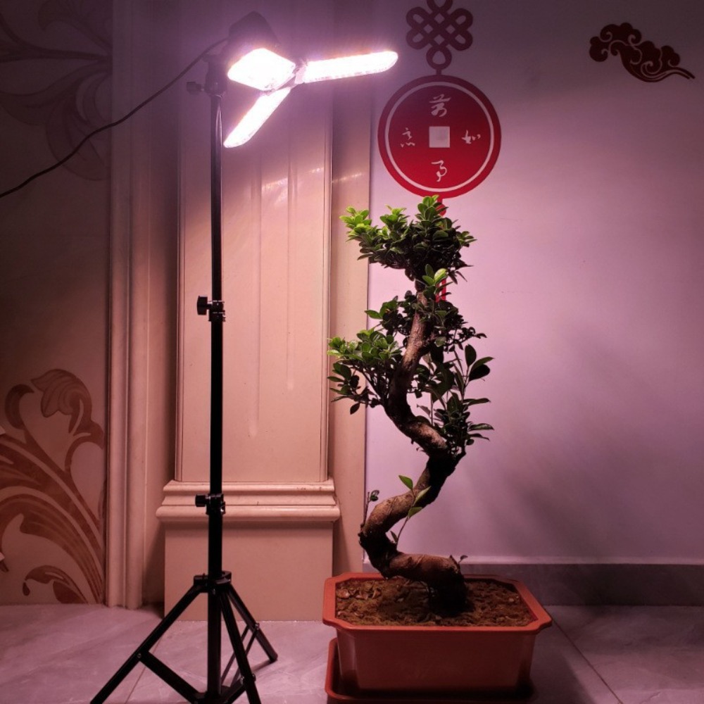 Stojak na żarówki 2M, gniazdo  – Photography Bulb recenzja i cena