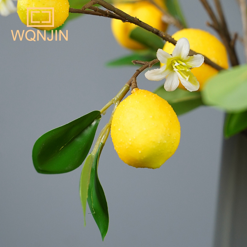 Lemon Branches With Fruit Simu – Photography Simulator recenzja i cena